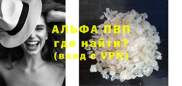 ешки Белокуриха